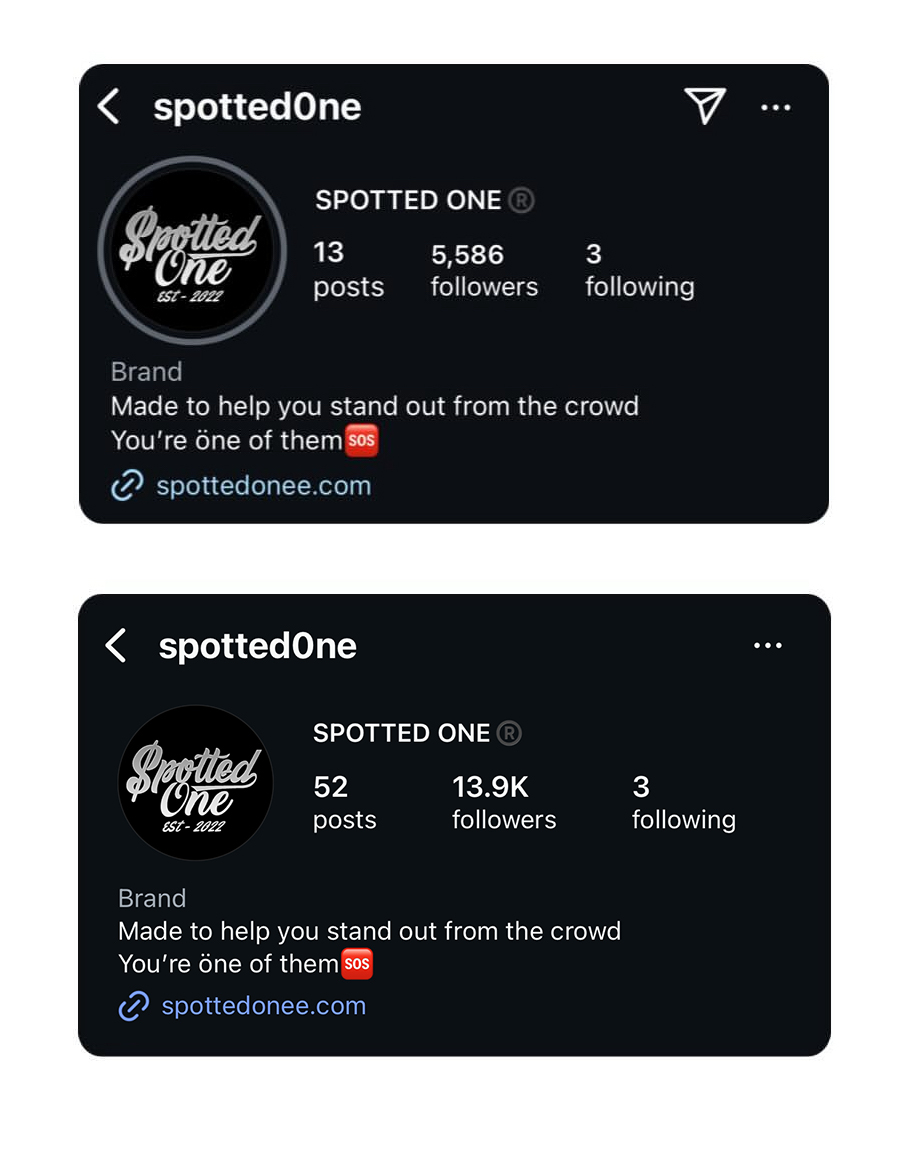 Instagram growth from 5.6K to 13.9K followers